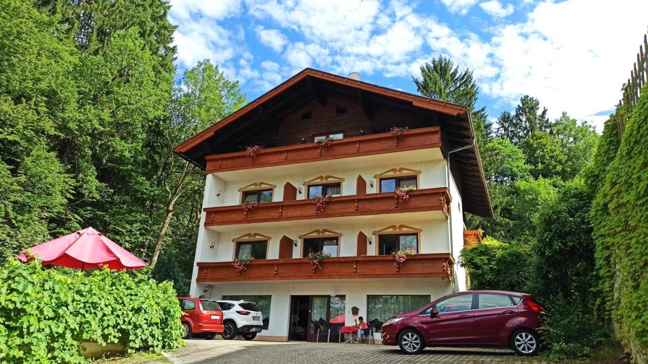 Appartement - Pension Adlerhorst 벨덴암워스에르시 외부 사진