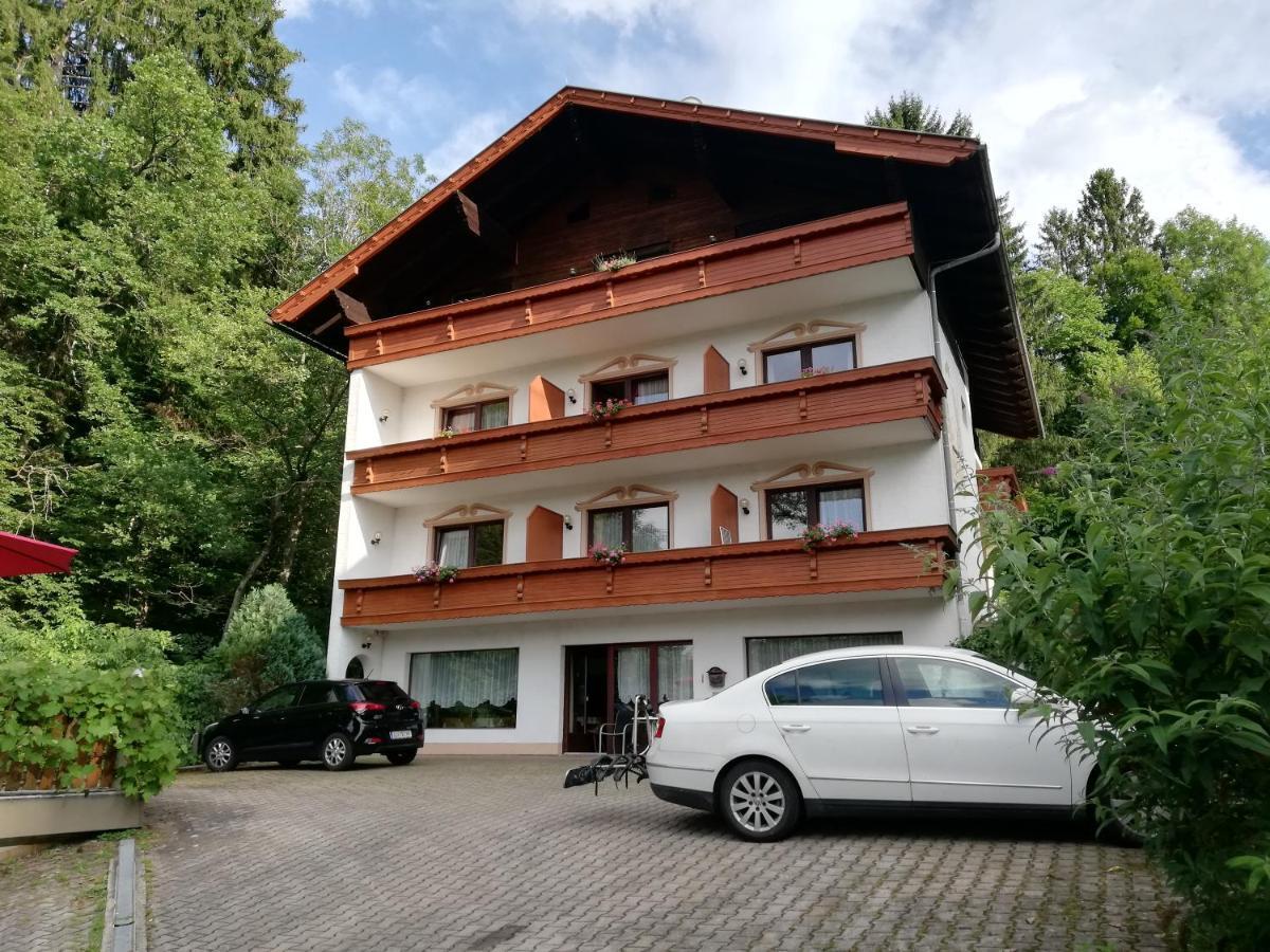 Appartement - Pension Adlerhorst 벨덴암워스에르시 외부 사진